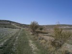 PA210033.JPG