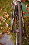 DSC03538.jpg
