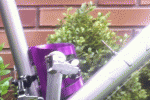 Marin.gif