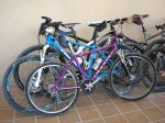 DSC05436.jpg