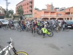 IMG_7798.JPG