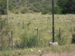 DSCN5104.JPG
