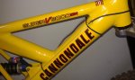 cannondales amarillas 004.jpg