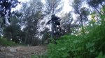 DSC00083.JPG