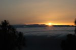 DSC_5521.JPG