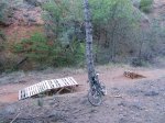 DSCF5445.JPG