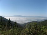 img_9419.jpg