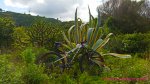 20150124_124110foro.jpg