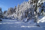 dsc01844j.jpg