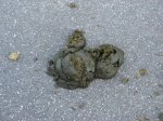 img_9514.jpg