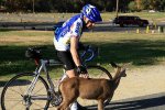 Geoff_deermini.JPG