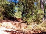 DSC07203.jpg