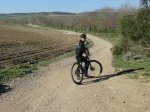 DSC00334.JPG