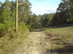 DSC00991.JPG