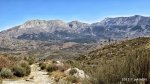 IMG_9135.JPG