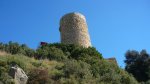 BURRIAC 15 -3-2015 020.JPG