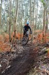 Ruta Medela 2015_26.jpg