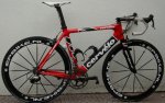 cervelofor1.jpg