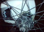 DSC00604.JPG