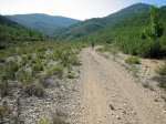 IMG_1007.JPG