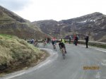 IMG_3785.JPG