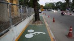 treelane.jpg