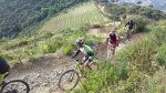 IMG-20150501-WA0015.jpg