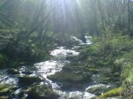 Imagen018.jpg