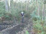 foto04.jpg