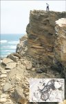 bikeincliff.jpg