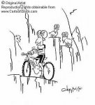 mountainbikegoat.jpg