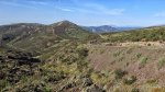 IMG_9838.JPG
