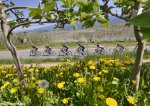 giro-flowers-big.jpg