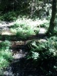 20150523_183804.jpg