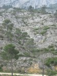 IMG_9694.JPG