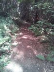IMG_20150610_174446.jpg