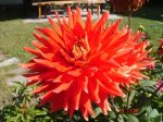 DSC02407.JPG