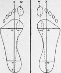 boladelpiepedal1.png