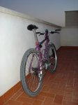 DSC05851.jpg