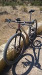 Lynskey 01.jpg