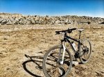 IMG_20150819_184509-01_mini.jpeg