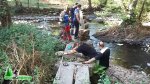 FB_IMG_1440054589370.jpg