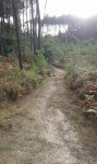 IMG-20150831-WA0004.jpg