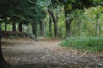 montsen2006 014.jpg