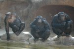 zoo2007 1315.jpg
