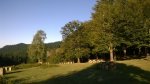 WP_20150920_09_13_56_Pro.jpg