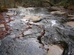 montseny12005 008.jpg