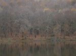 montseny52005 030.jpg
