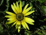 DSCN9864.JPG