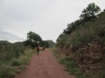 IMG_0766.JPG